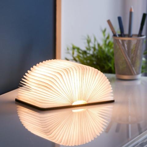 Book_Light_Mini_1_IMMA_lr_large_8929aa31-93c7-42af-9336-a79e13c11ab3.jpg