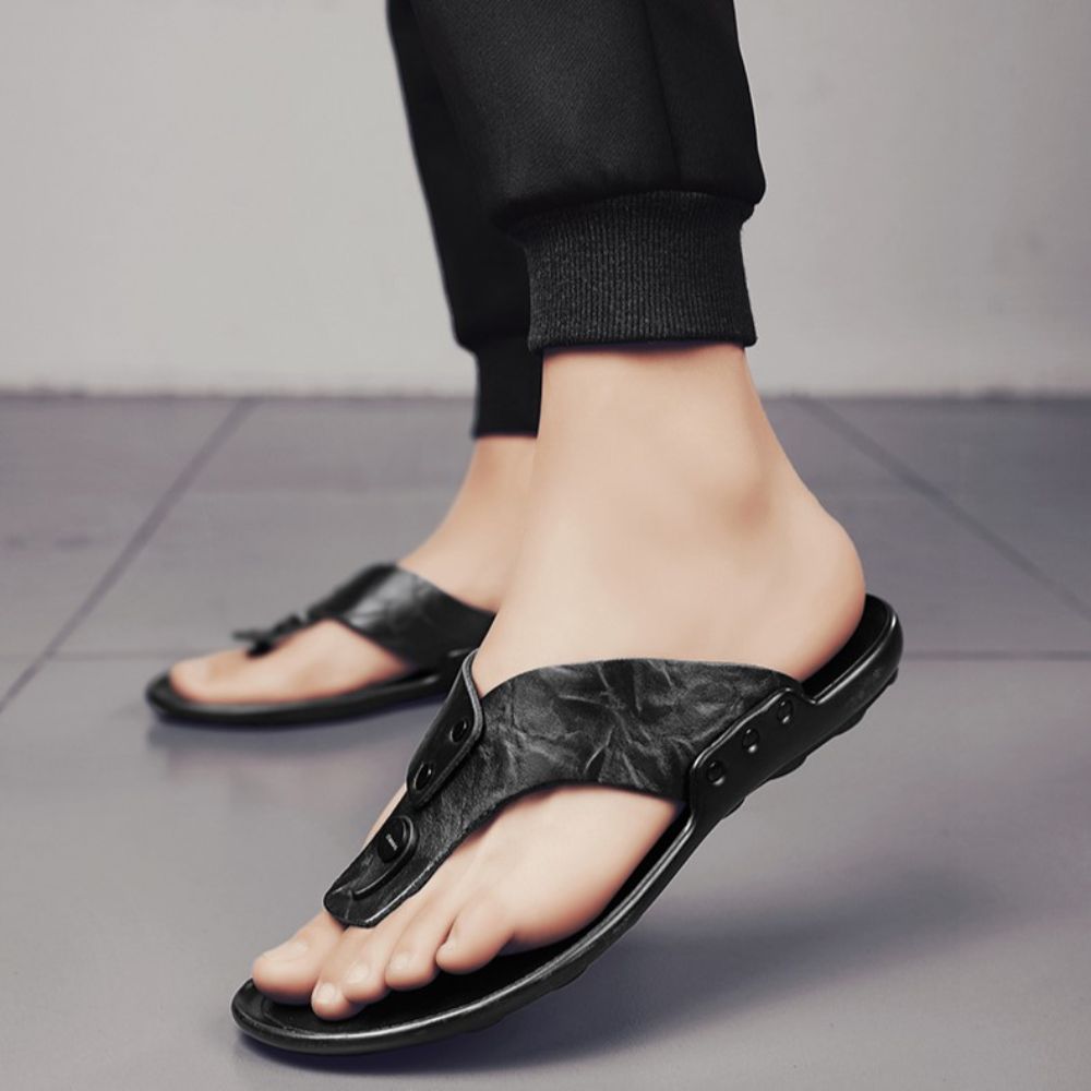Resized_1.jpg