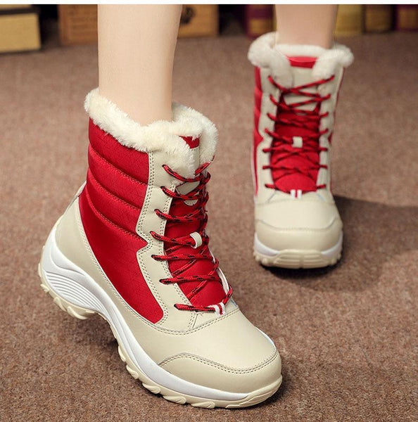 product-image-1023238496_grande_d7793366-b46c-4ebc-b934-c5a665dc9f67.jpg